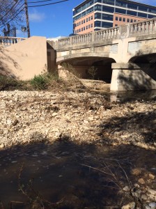 Where I came out and the trail ended